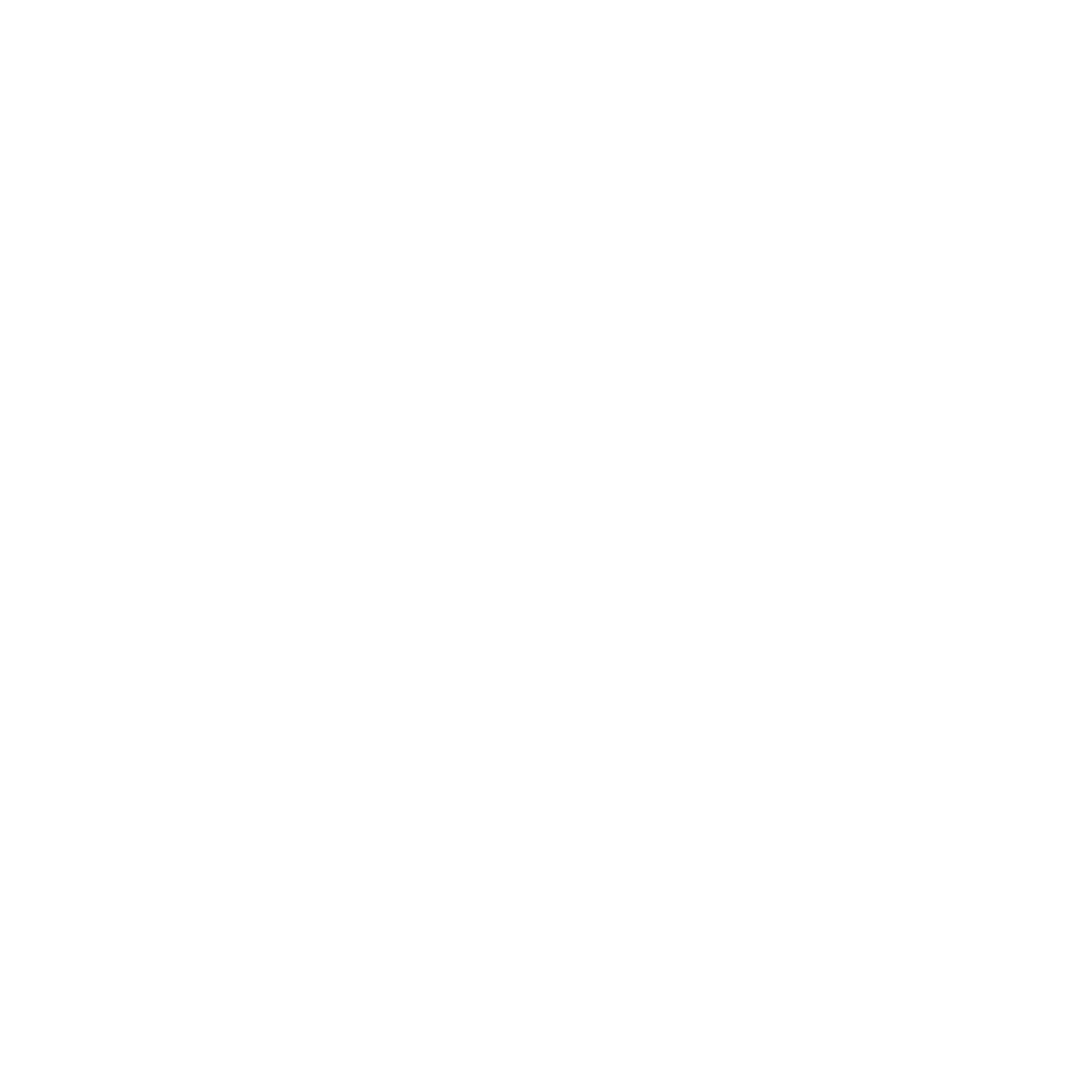 Savvy Chocolate Co